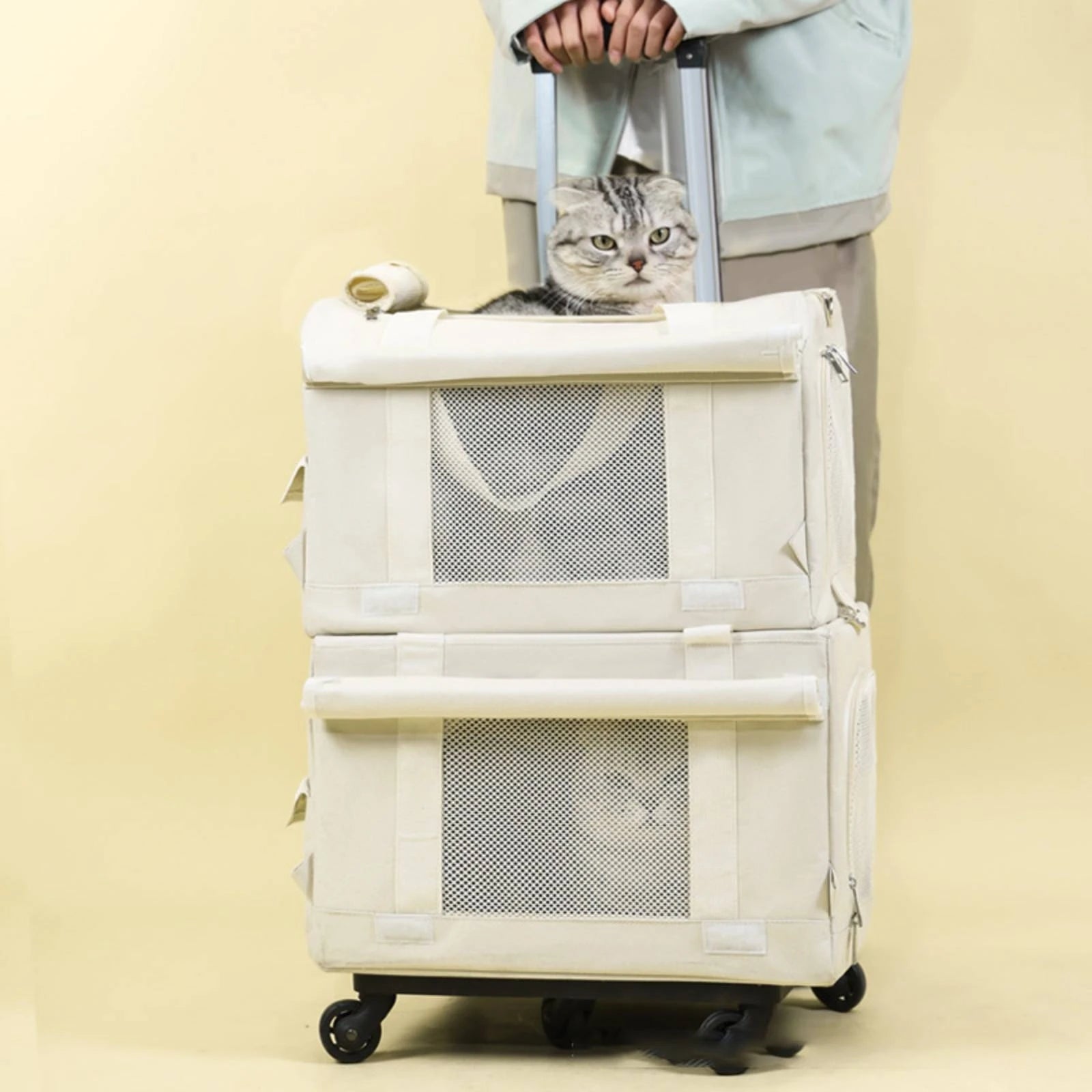 Pet Carrier with Telescopic Handle Breathable Pet Carrier Trolley Travel Bag Portable Collapsible for Cats, Outings