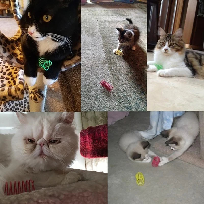 Heavy-Gauge Colorful Cat Spring Coil Toy Set (4–20 Pack)