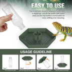 Turtle Food Bowl Anti-slip Reptiles Water Feeder Stable Plastic Automatic Water Dispenser Detachable Turtle Water Bowl Vivarium