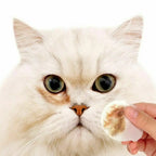 130Pcs Pet Eye Wipes Cats And Dogs Tearmark Wet Wipes Cats And Dogs Universal No Irritation Cleaning Products