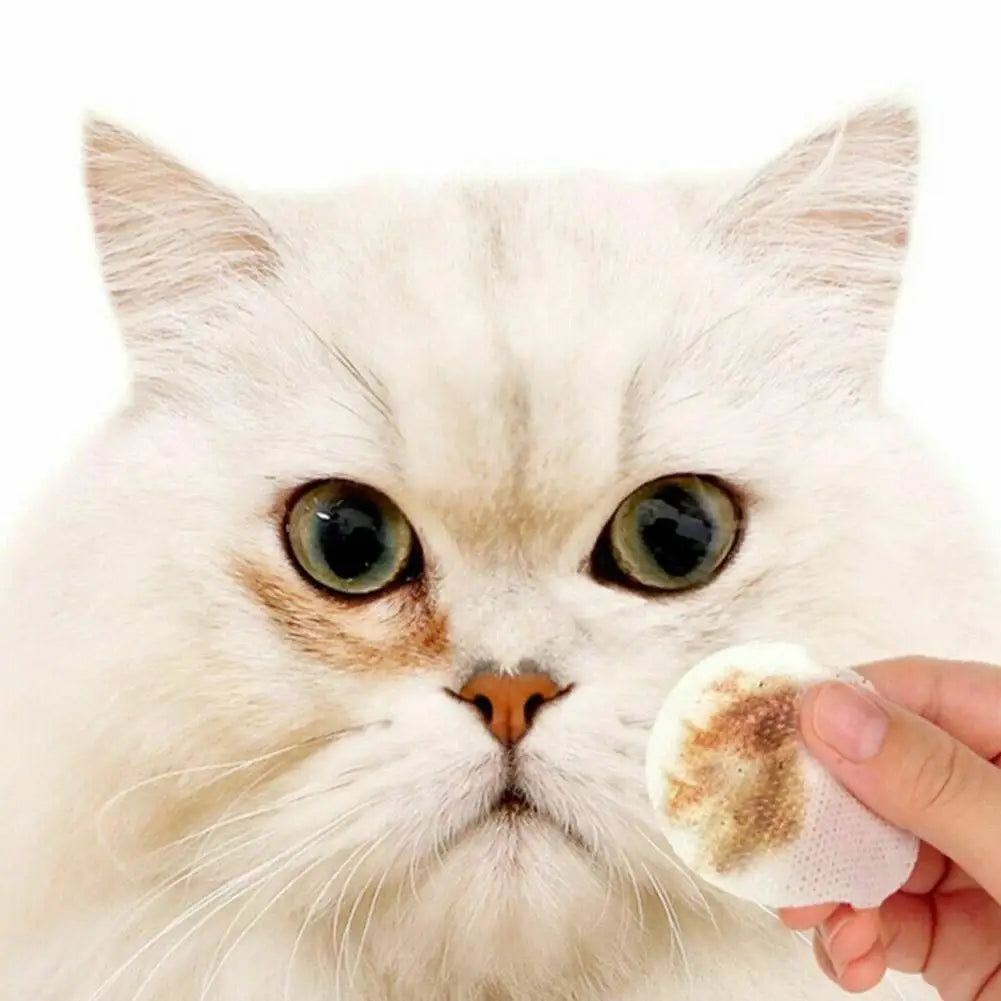 130Pcs Pet Eye Wipes Cats And Dogs Tearmark Wet Wipes Cats And Dogs Universal No Irritation Cleaning Products