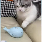 USB-Powered Floating Ball Cat Toy — Portable Electric Interactive Cartoon Training Toy for Cats