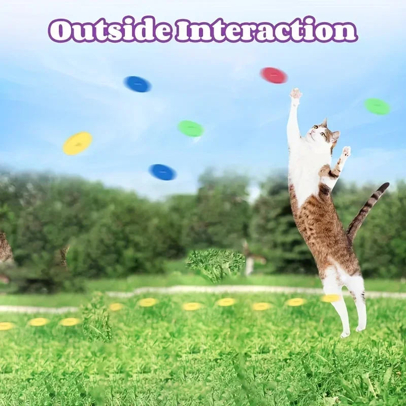 Pet Toy Gun Launcher with Flying Disc Set — Interactive Indoor & Outdoor Chase Toy for Cats & Dogs