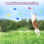 Pet Toy Gun Launcher with Flying Disc Set — Interactive Indoor & Outdoor Chase Toy for Cats & Dogs