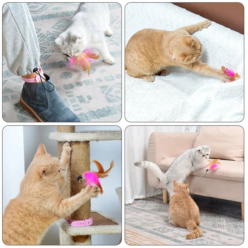 Feather Teaser Wand with Bell & Pet Collar — Interactive Kitten Training Toy for Cats