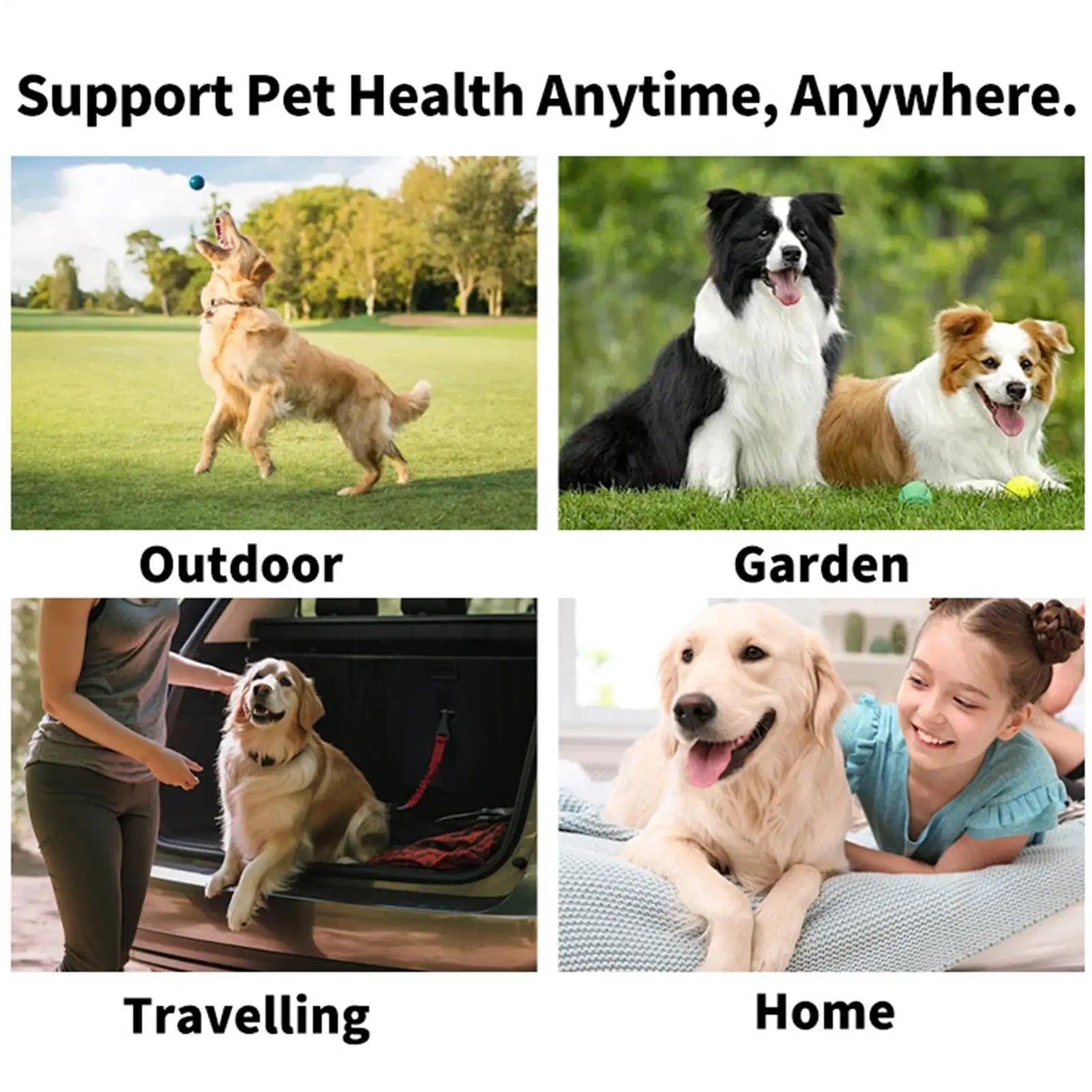 Pet Cleaning Product Disposable Finger Toothbrush Pet Teeth Cleaning Finger Covers Gentle Wet Wipes Fresh Breath Orals Cleaning