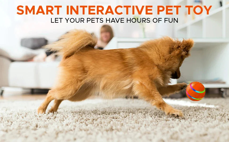 Interactive Smart Pet Ball
