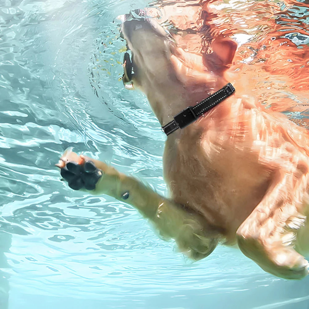 GPS Pet Tracker with Adjustable Collar - Smart Cat & Dog Locator for Real-Time Location Monitoring