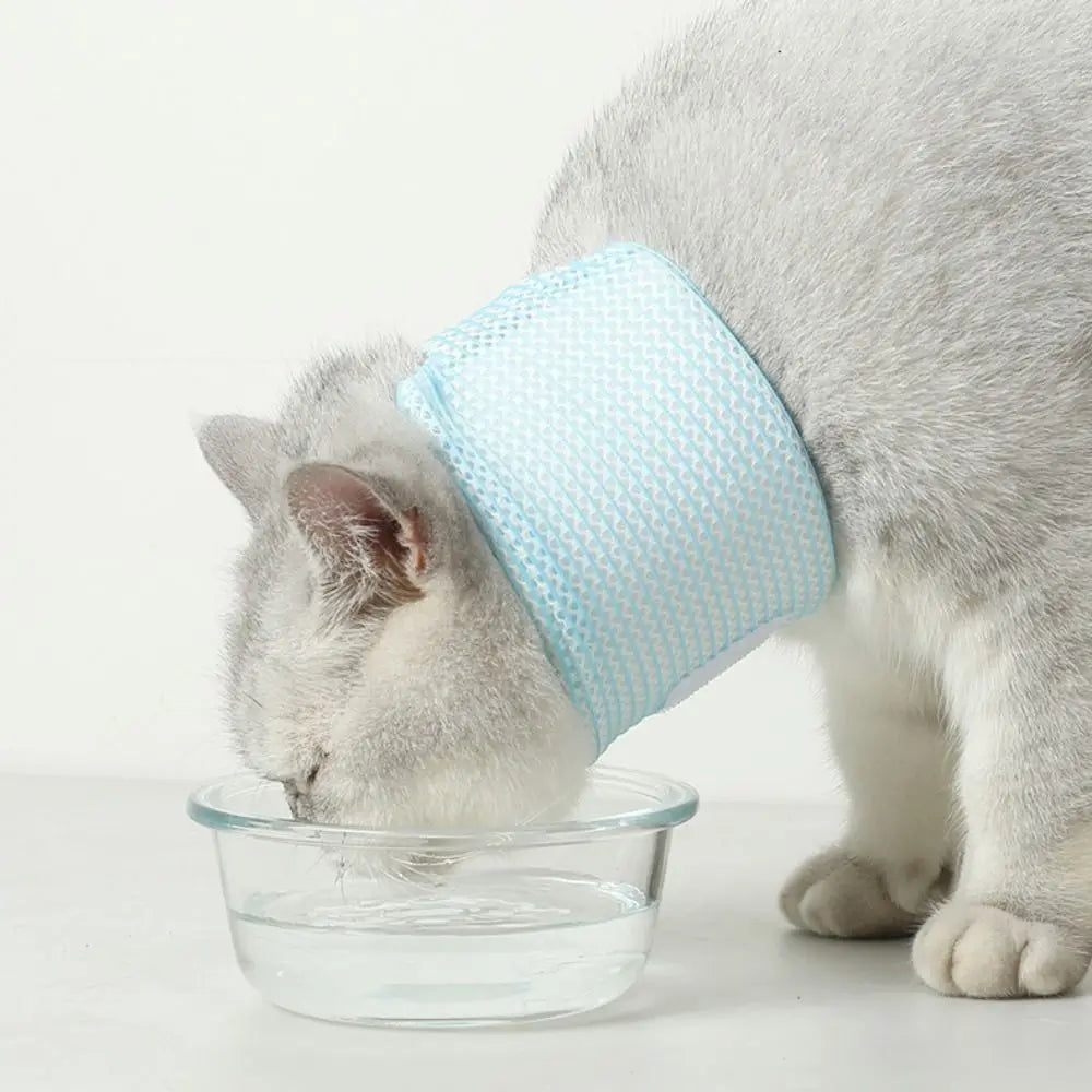 Soft Mesh Pet Recovery Collar (Breathable, Elizabethan, Anti-Lick)