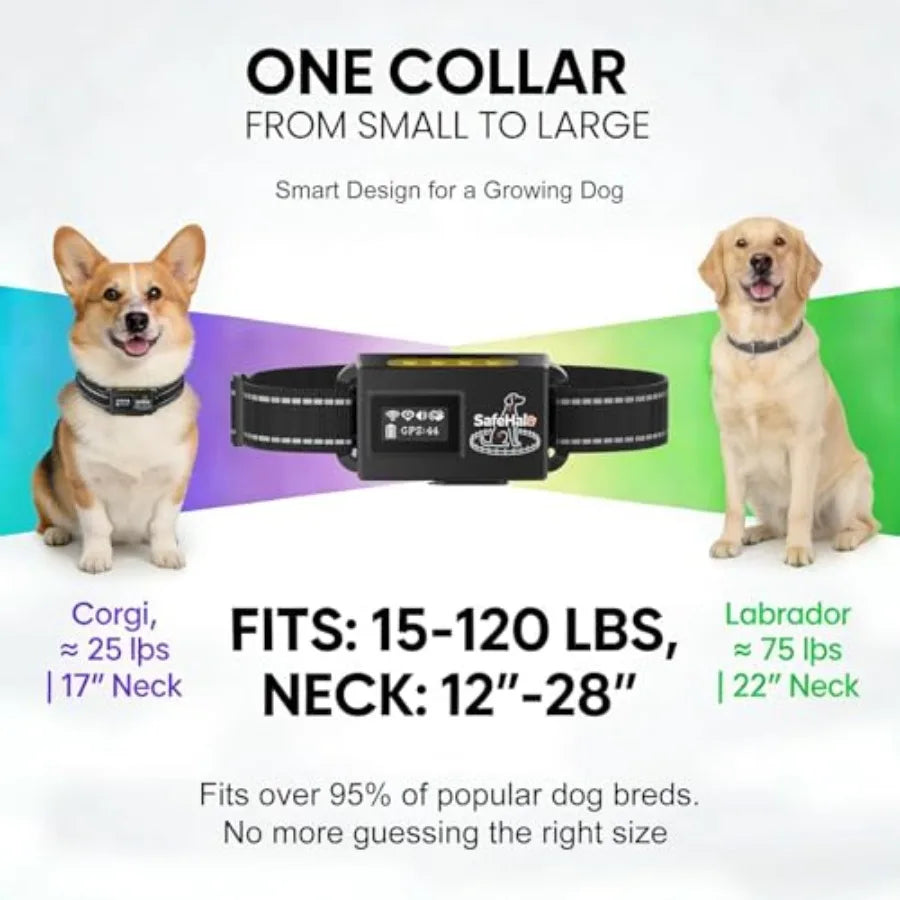 Wireless GPS Dog Collar Fence for Backyards - 48H Battery Invisible Electric Fence for Dogs that Dig & Run