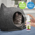 Catnip Behavior Spray for Cats (60ml)