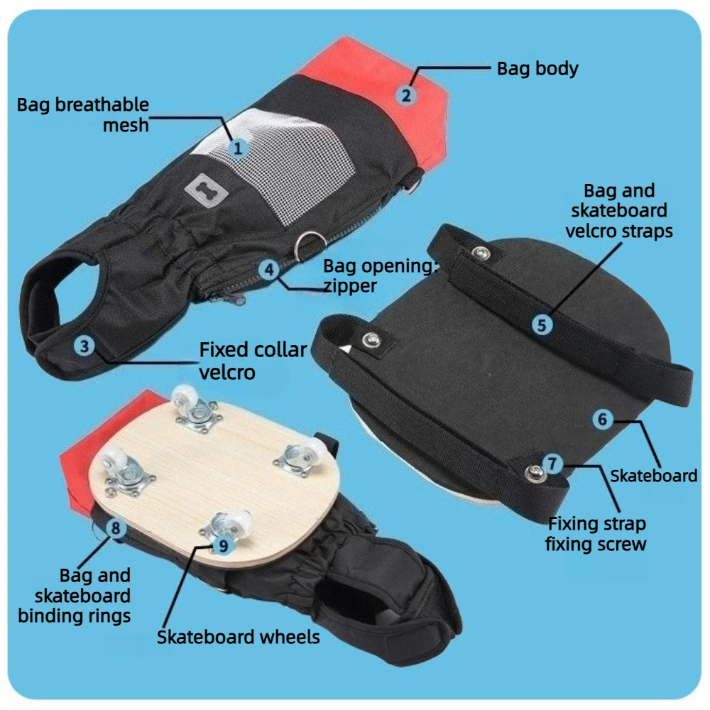 Dog Wheelchair for Disabled Pets Rear Leg Support Scooter Mobility Aid for Elderly Dogs