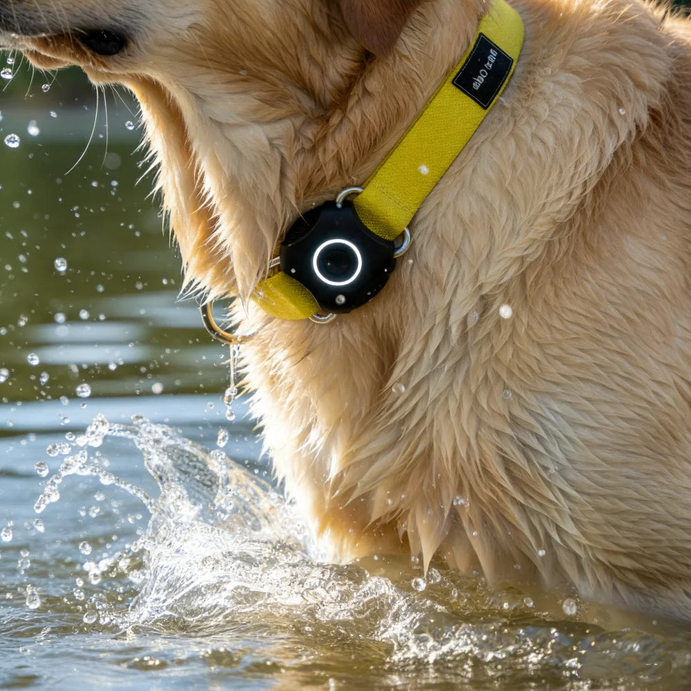 IPX7 Waterproof AirTag Collar Holder for Dogs & Cats - Stainless Steel & Plastic Anti-Loss Tracker Case