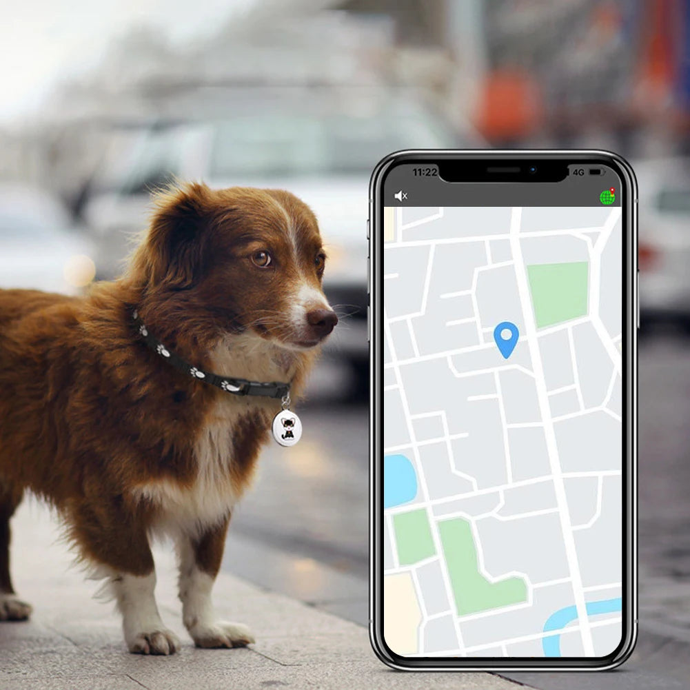 AirTag-Style Wearable Bluetooth GPS Tracker Collar - Smart Anti-Loss Locator for Dogs, Cats & Birds