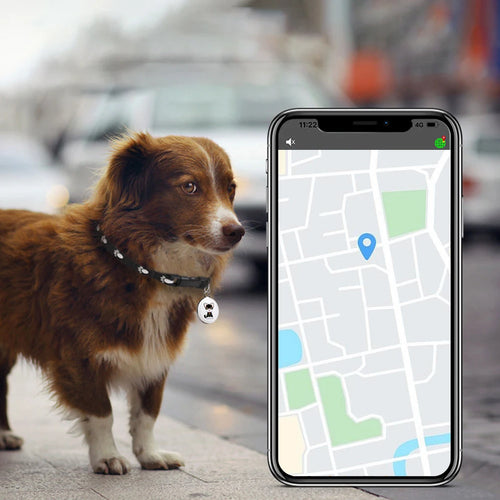 AirTag-Style Wearable Bluetooth GPS Tracker Collar - Smart Anti-Loss Locator for Dogs, Cats & Birds