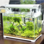 LCD Digital Aquarium Thermometer (Electronic, Waterproof, Instant-Read, Fish Tank)