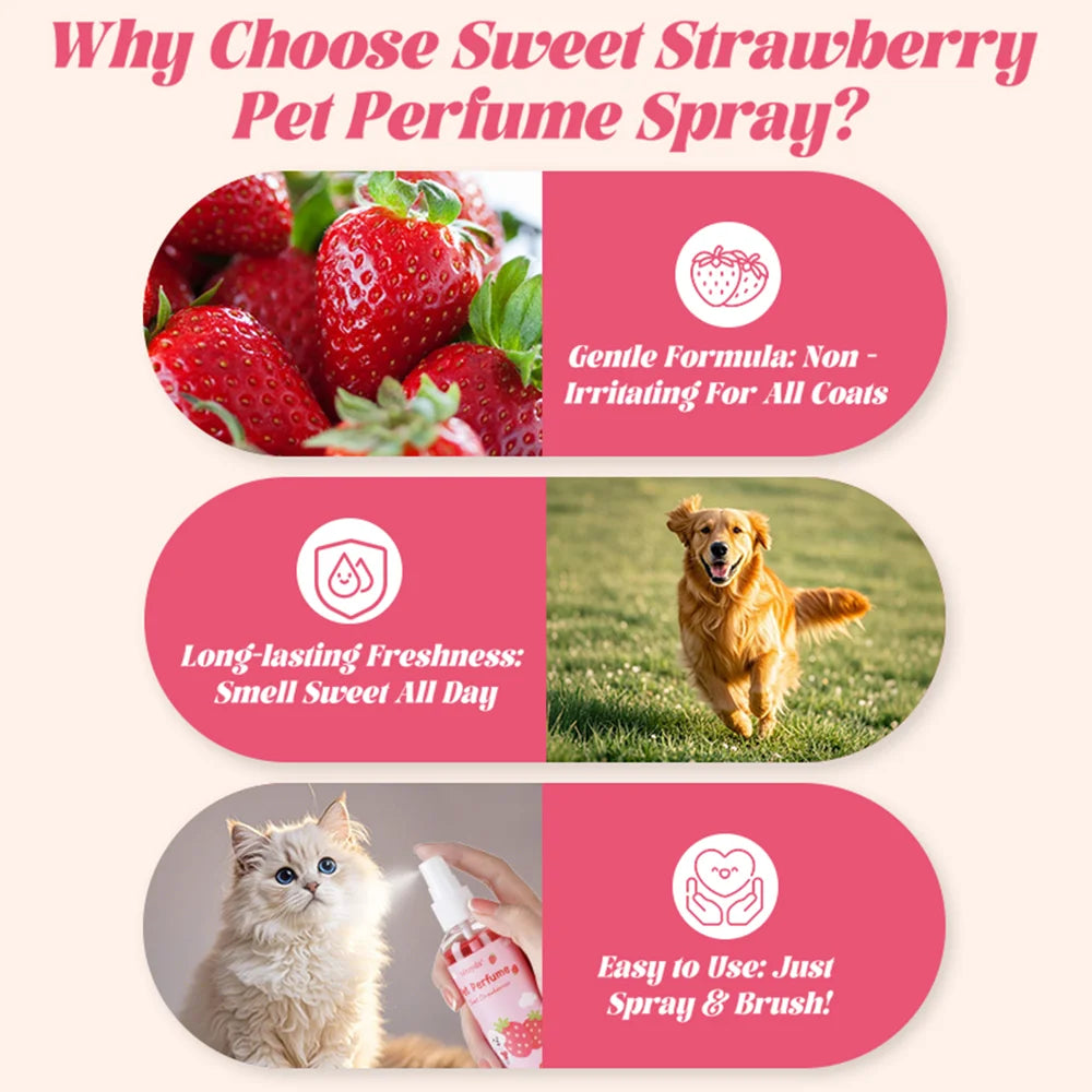 Pet Perfume Spray Sweet Strawberry Scent Long Lasting Fragrance Gentle Formula For Dogs Cats All Breeds Daily Grooming And Fresh