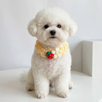 Hand-Knitted Plant-Theme Pet Bow Tie Scarf — Adjustable Elastic Cat & Dog Collar Necklace Gift