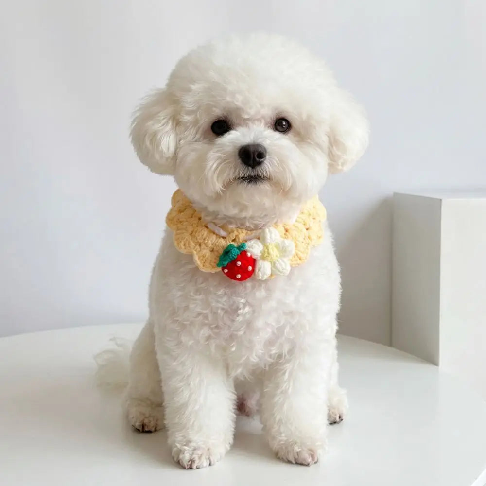 Hand-Knitted Plant-Theme Pet Bow Tie Scarf — Adjustable Elastic Cat & Dog Collar Necklace Gift