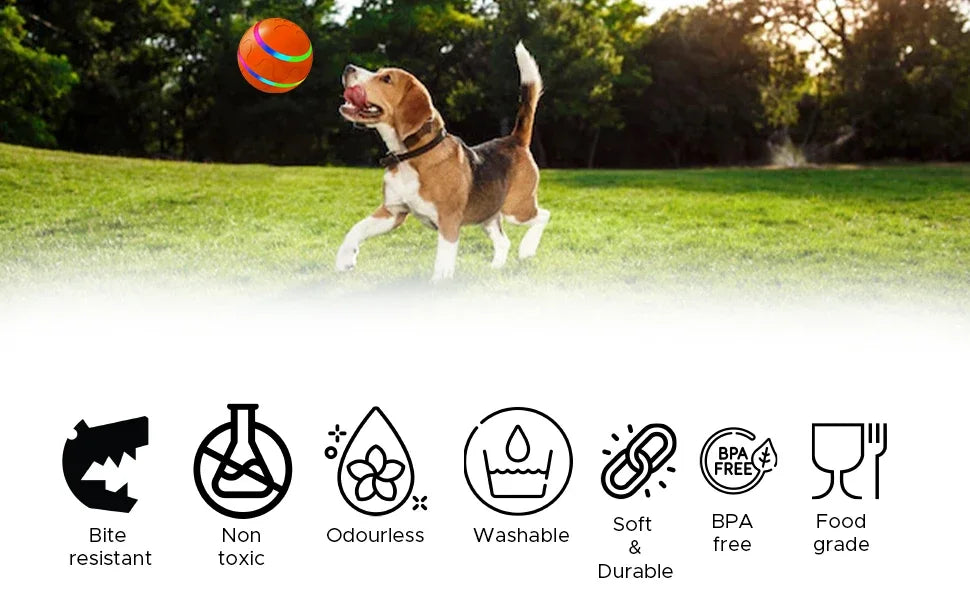 Interactive Smart Pet Ball