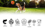 Interactive Smart Pet Ball