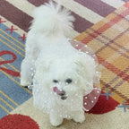 Breathable Mesh Pet Anti-Mosquito Headgear (Adjustable, Love/Wave Pattern)