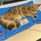 Veterinary Vacuum Positioning Mat for Pet Exams & Surgery