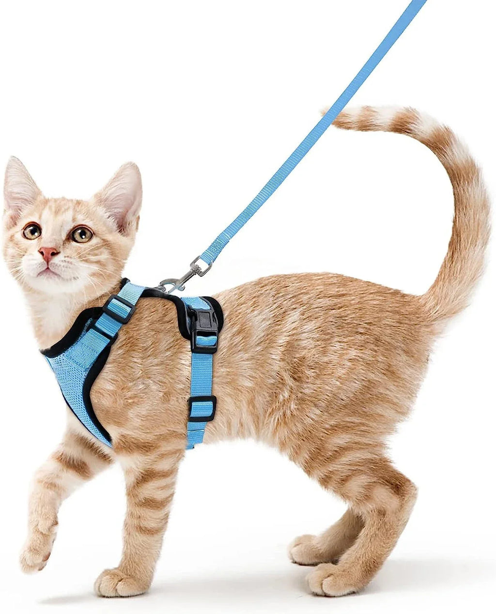 Anti-Escape Kitten Harness & Traction Belt — Lightweight Breathable Soft Vest for Walking Small Cats