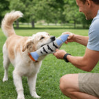 Stuffed Simulation Fish Cat Toy with Bell — Bite-Resistant Soft Squeaky Teasing Stick Fish
