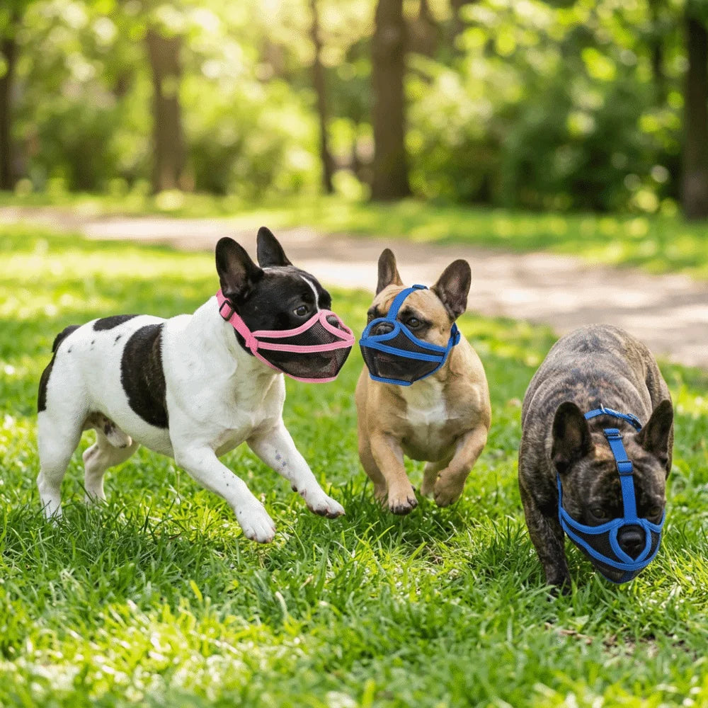 Soft Touch Short Snout Dog Muzzle (Pug & Bulldog, Breathable, Anti-Bite)