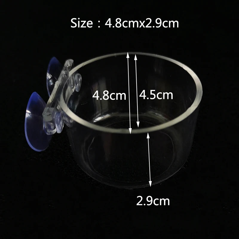 Glass Aquarium Shrimp Feeding Ring & Feeder Dish (Transparent, Floating, Bottom Use)