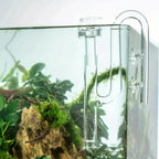 Glass Lily Pipe Inflow with Surface Skimmer (13mm/17mm, Aquarium Planted Tank Filter)