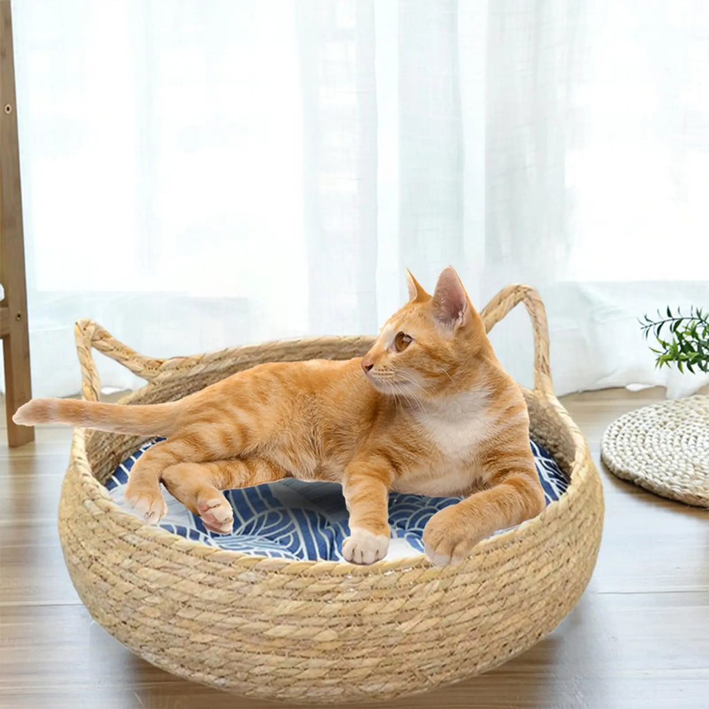 Blue Cardboard Cat Scratcher Bed with Removable Cushion — Portable Kitten Scratch Pad & Nest (40cm)