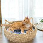 Blue Cardboard Cat Scratcher Bed with Removable Cushion — Portable Kitten Scratch Pad & Nest (40cm)