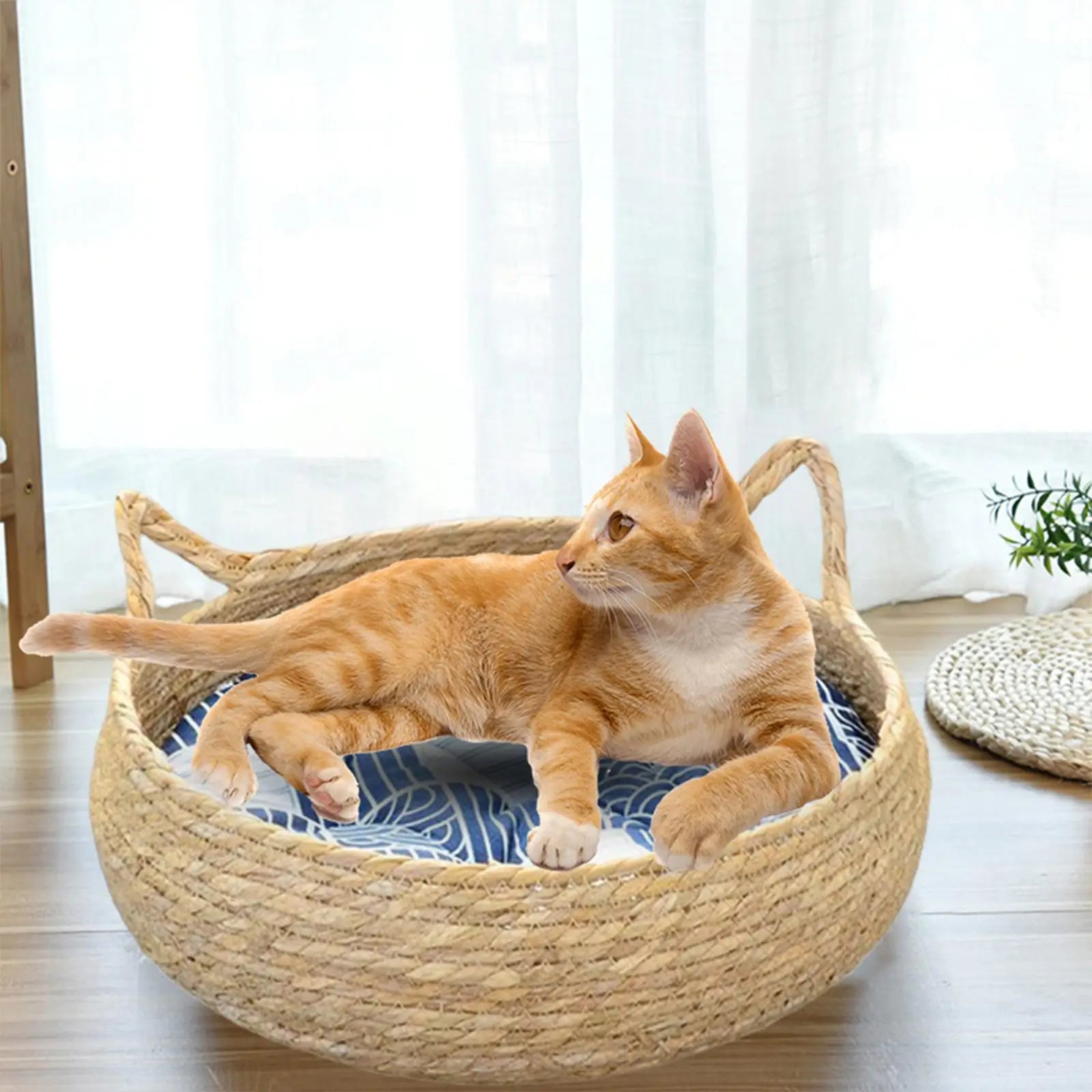 Blue Cardboard Cat Scratcher Bed with Removable Cushion — Portable Kitten Scratch Pad & Nest (40cm)