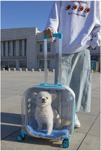 2026 High Quality Translucent Pet Carrier Portable Outdoor Cat Bag Large Capacity Aviation Travel Case