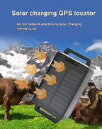 4G Solar GPS Livestock Tracker for Cattle, Horses & Sheep - IP67 Waterproof Real-Time Farm Tracking Device