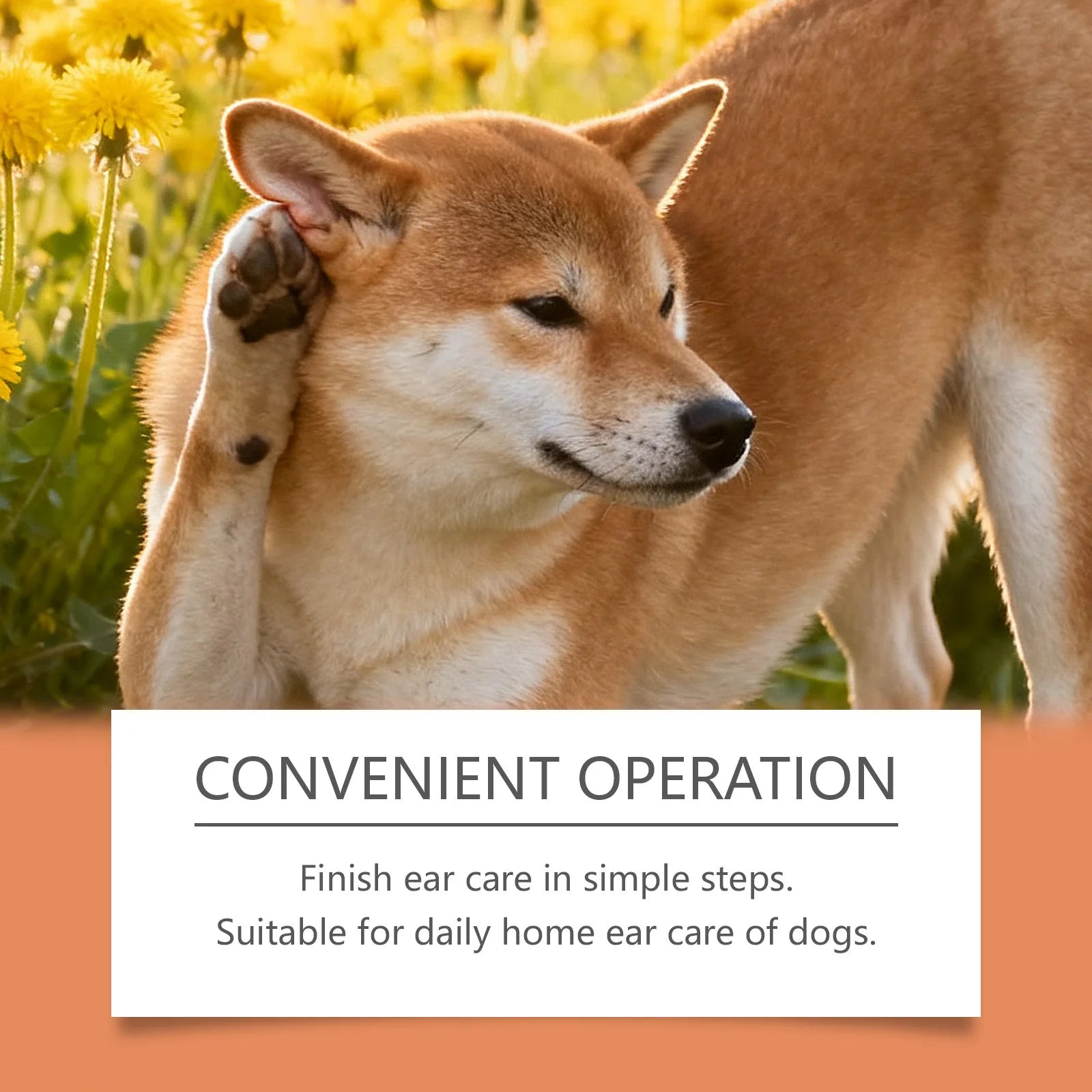 Dog Ear Essence Drops Lasting Reduce Earwax Relieving Discomfort Non Irritating Reducing Dandruff Daily Pet Ear Drops Solution