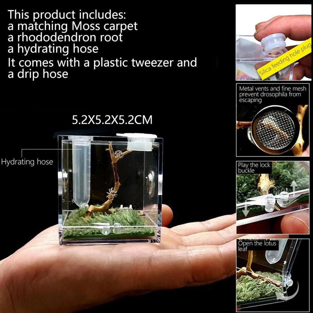 Small Reptile Feeding Box Transparent Acrylic Jumping Spider Breeding Box Habitat Small Insect Container Humidifier Feeding Box