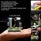 Small Reptile Feeding Box Transparent Acrylic Jumping Spider Breeding Box Habitat Small Insect Container Humidifier Feeding Box
