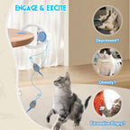 Hanging Door Swing Cat Toy with Sticky Disc