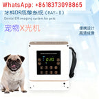 Portable Pet Dental X-Ray Machine (DR Imaging, High Frequency)