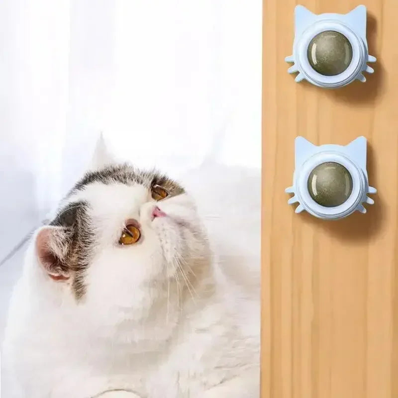 Natural Catnip Wall-Spin Ball Cat Toy — Mint Digestive & Dental Stimulator