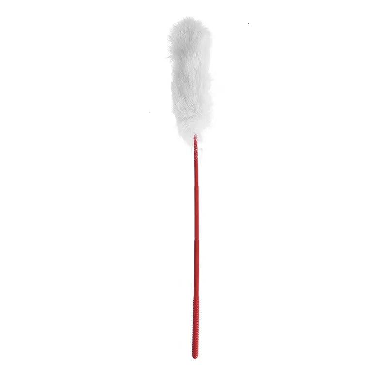 Feather & Bell Cat Teaser Stick with Collar — Self-Play Interactive Wand for Kittens & Cats