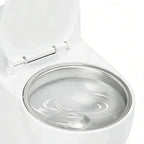 Toilet-Shaped Stainless Steel Pet Water Bowl (Anti-Spill, Non-Slip)