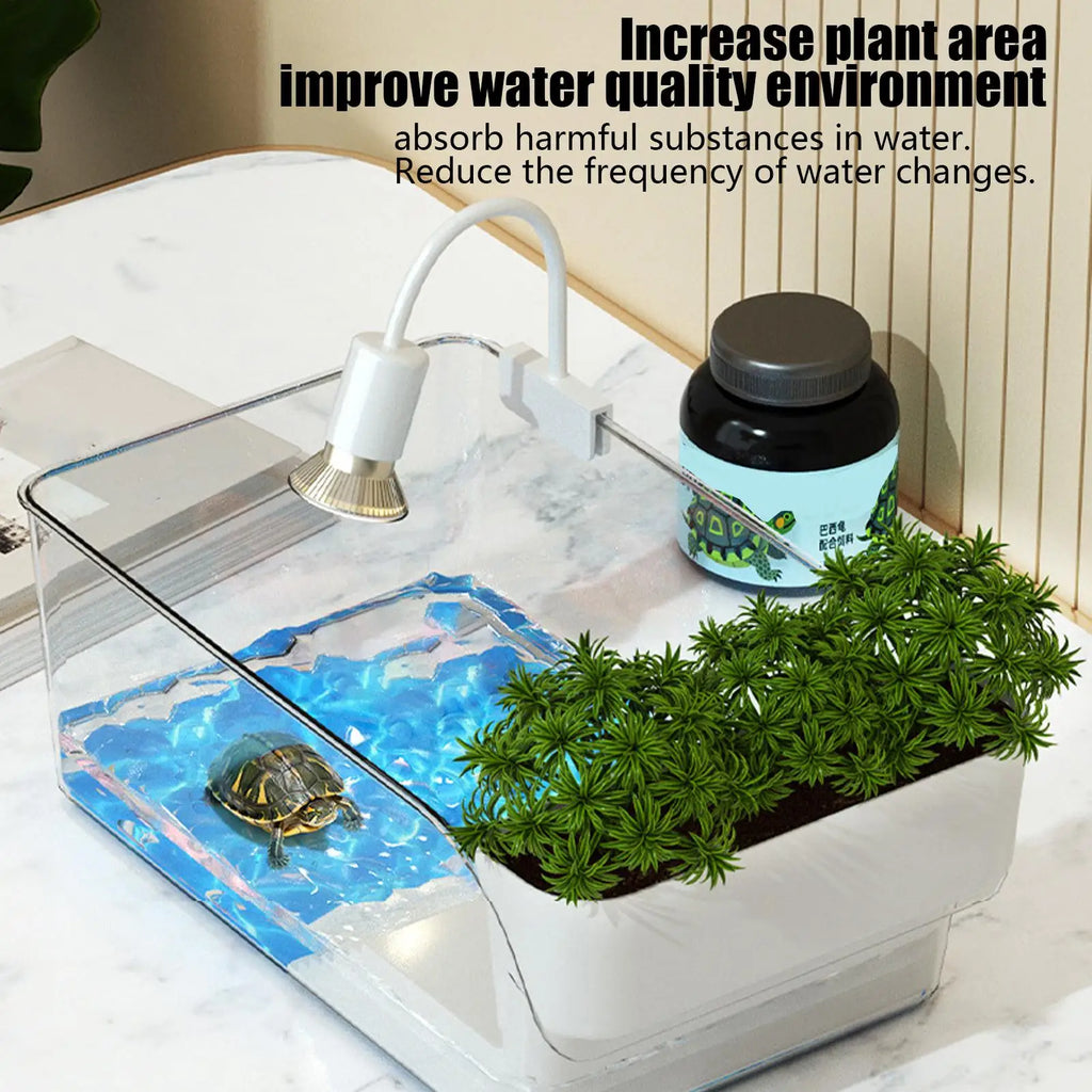 Small Professional Transparent Turtle Terrarium Reptile Breeding Tank Insect Spider Turtle Resting Box Lizards Pet Enclosure