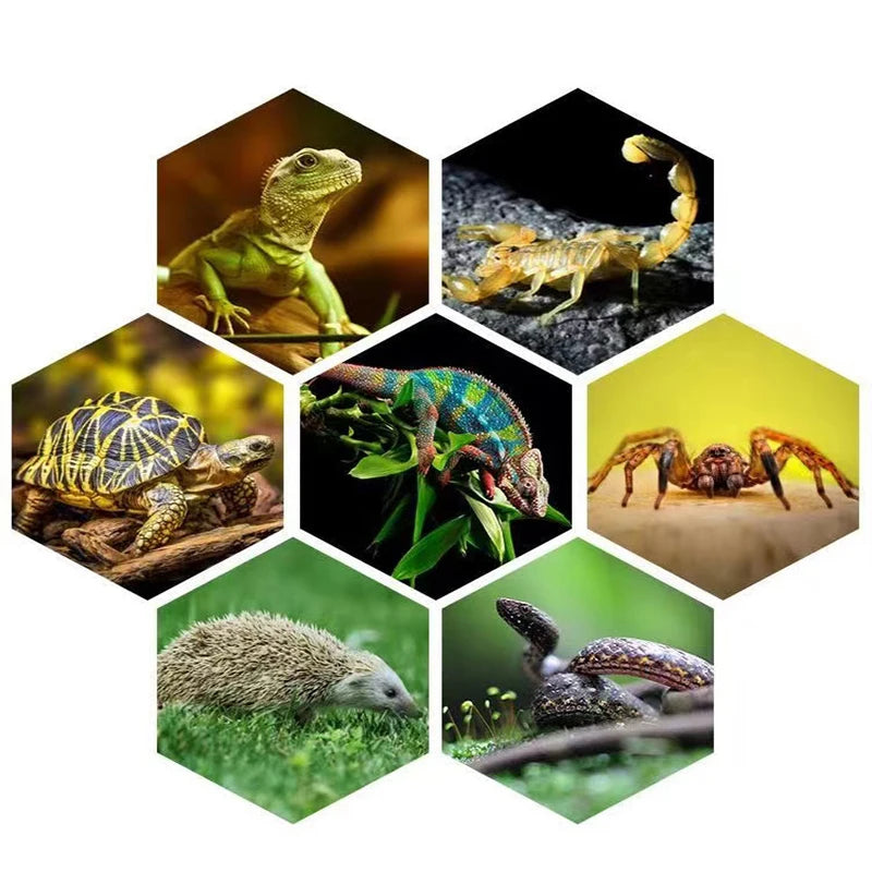 E27 13W/26W Reptile Uvb Lamp  Calcium Supplement Lamp UVB5.0/10.0 for Tortoise Lizard Snake  UV Lamp for Succulent Plants
