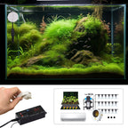 Digital LED Temperature Sensor Reptile Terrarium Thermostat Controller Outlet Thermostat Suction Cup for Aquarium Garden Plants