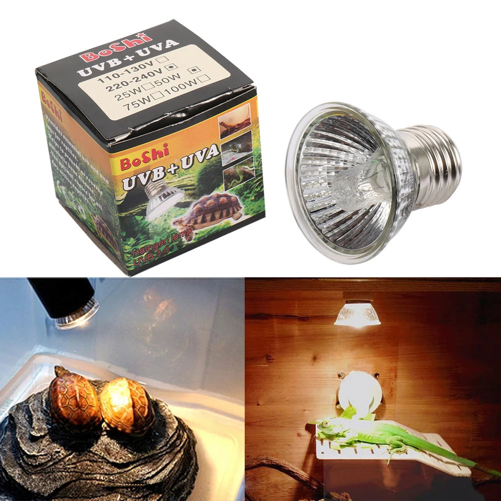 25/50/75W Reptile Lamp Bulb Amphibians Lizards Turtle Basking UVA+UVB 3.0  Light Bulbs Heating Lamp Temperature Controller 1Pc