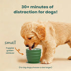 Silicone Pet Slow Feeder Bowl (Anti-Slip, Dishwasher Safe)